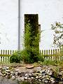Abgeschnittener Baum in einem Privatgarten - Arbeitsgebiete - Holzskulpturen - Aussenbereich - www.eva-nemetz.de